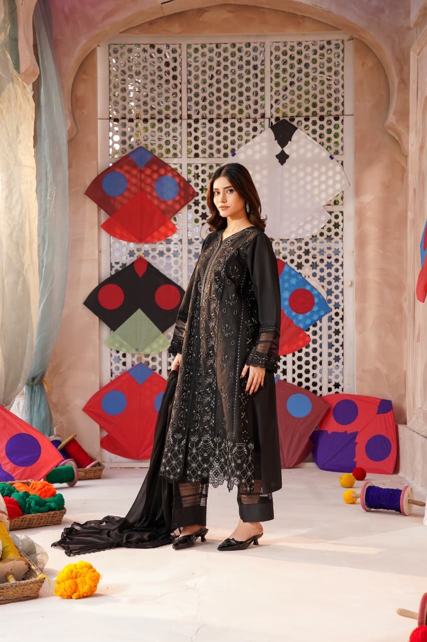 Zeenat-e-Hayat 3PC Jet Black