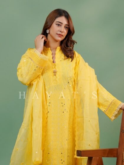 Husn-e-Hayat Vol 35